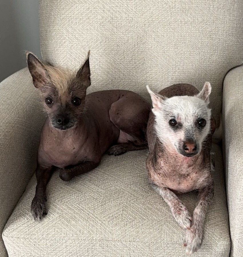 Della (R) and Pearl (L) - Erica Riendeau - 2026