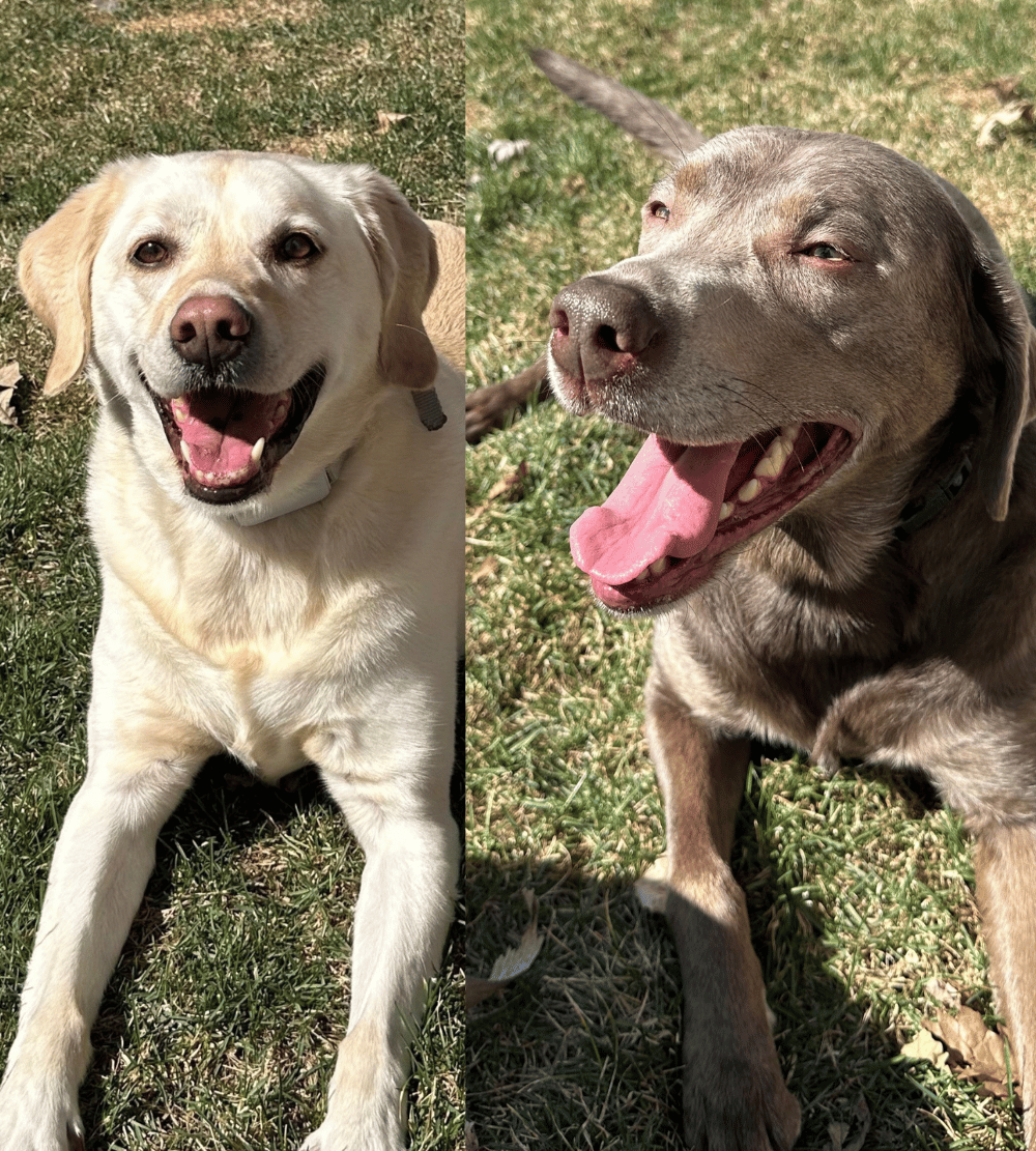 Gracie-Lou + Raine